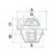 Thermostat Landini AGCO Faucheux Takeuchi JCB New Holland Massey Ferguson Case-IH 14462128M91