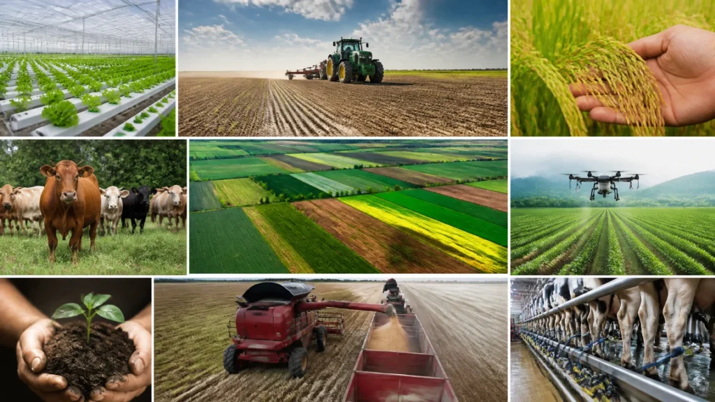 Les catégories de l’agriculture : modèles, méthodes et enjeux sans aucun texte