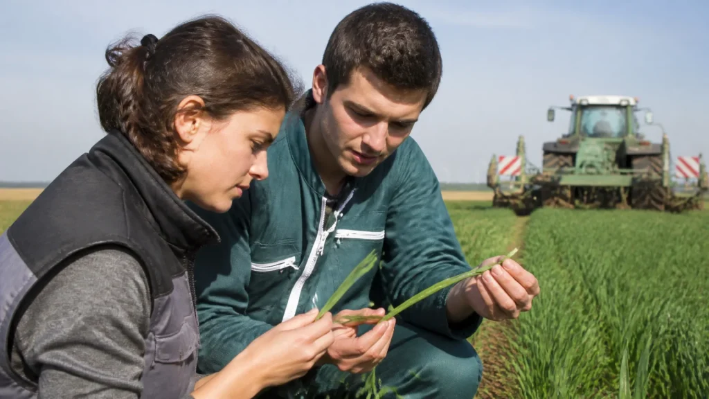 Comment devenir technicien agricole : formations, compétences et débouchés