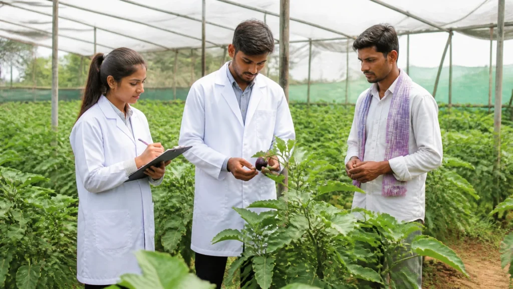 Le BTA est-il un diplôme agricole ? Définition, niveau et débouchés professionnels