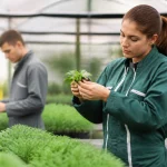 Quel diplôme pour être technicien agricole : parcours et débouchés