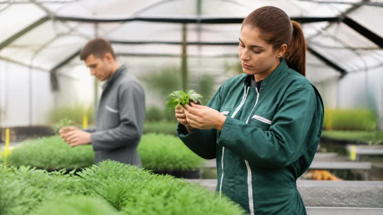 Quel diplôme pour être technicien agricole : parcours et débouchés