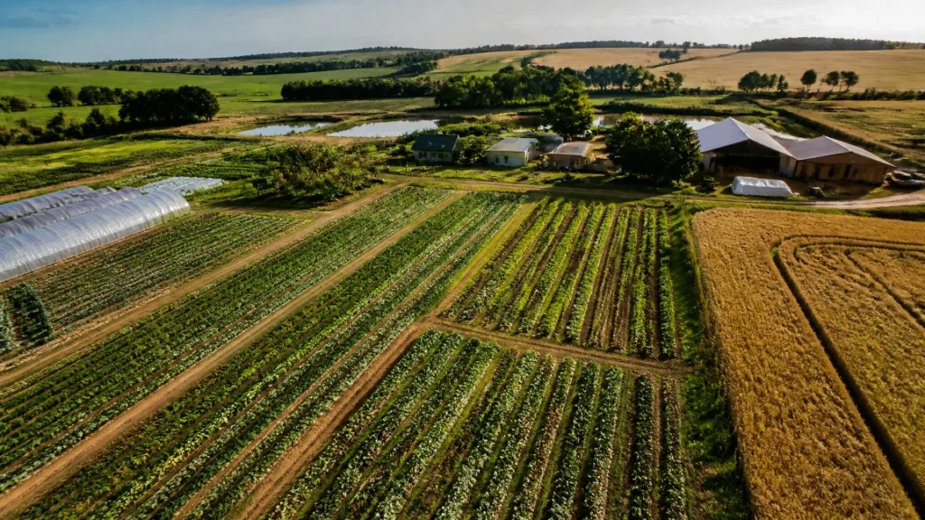 Quel type d’agriculture pratique une exploitation ? Comprendre les modèles et leurs pratiques