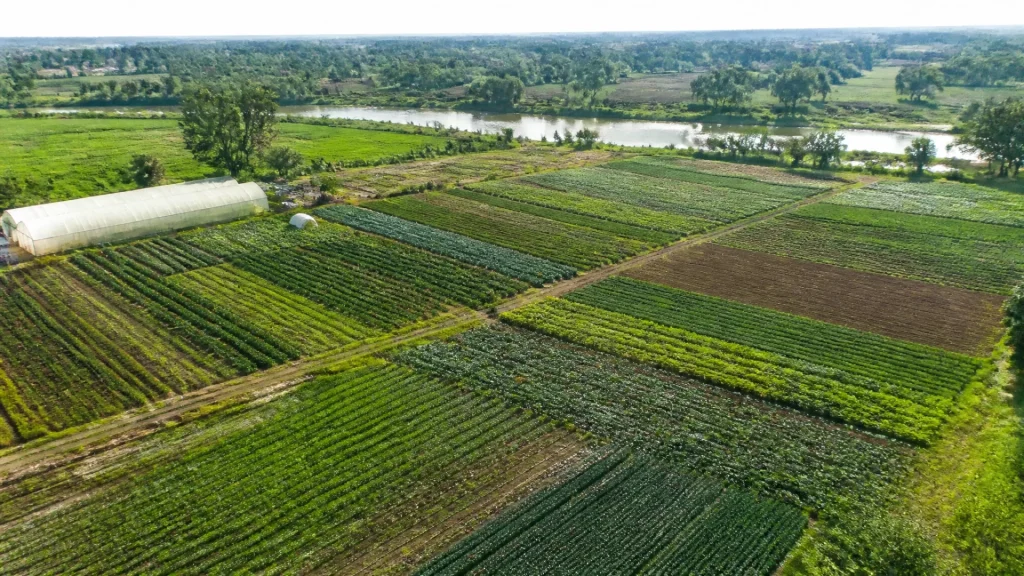 Quel type d'agriculture pratique une ferme ? Comprendre les modèles et leurs pratiques